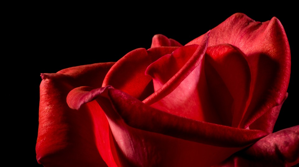 A Rose for Emily Essay: Customs and Values