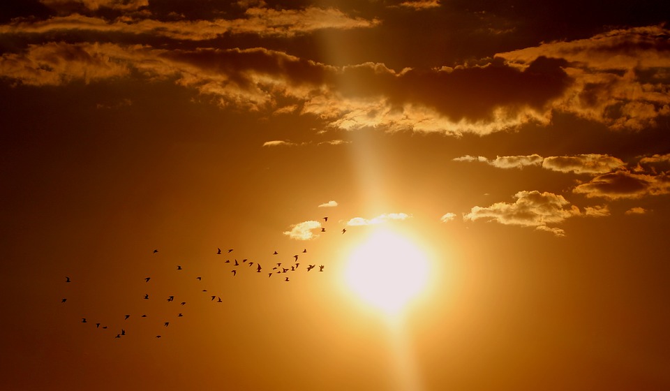 A Thousand Splendid Suns Summary Sample