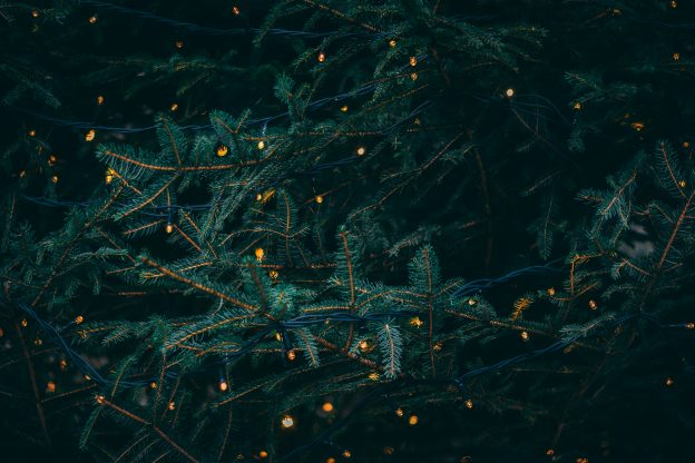 EssayShark Writers Christmas Contest Winners