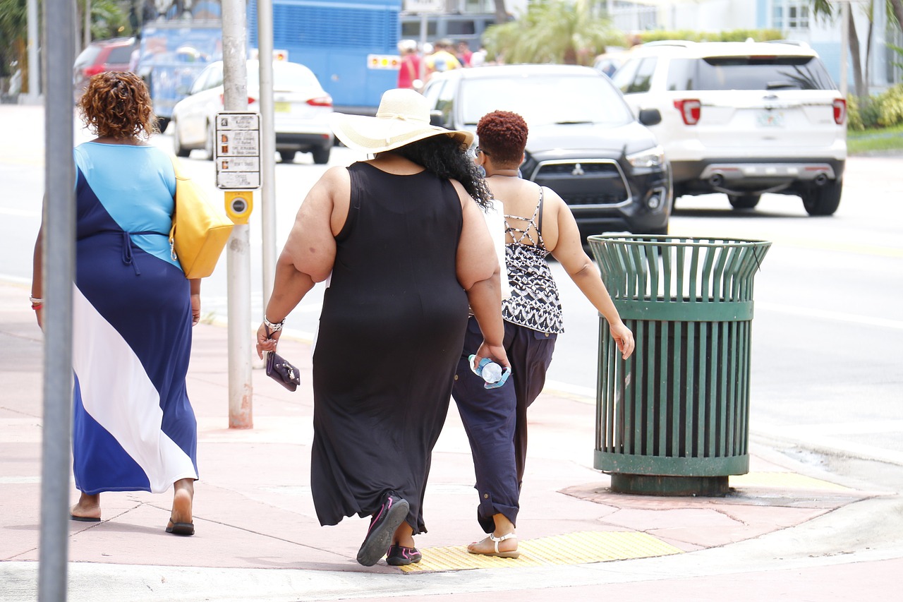 economics and sociology of obesity topics