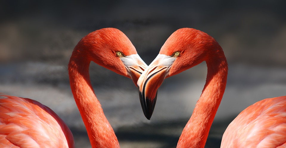 persuasive speech examples about love