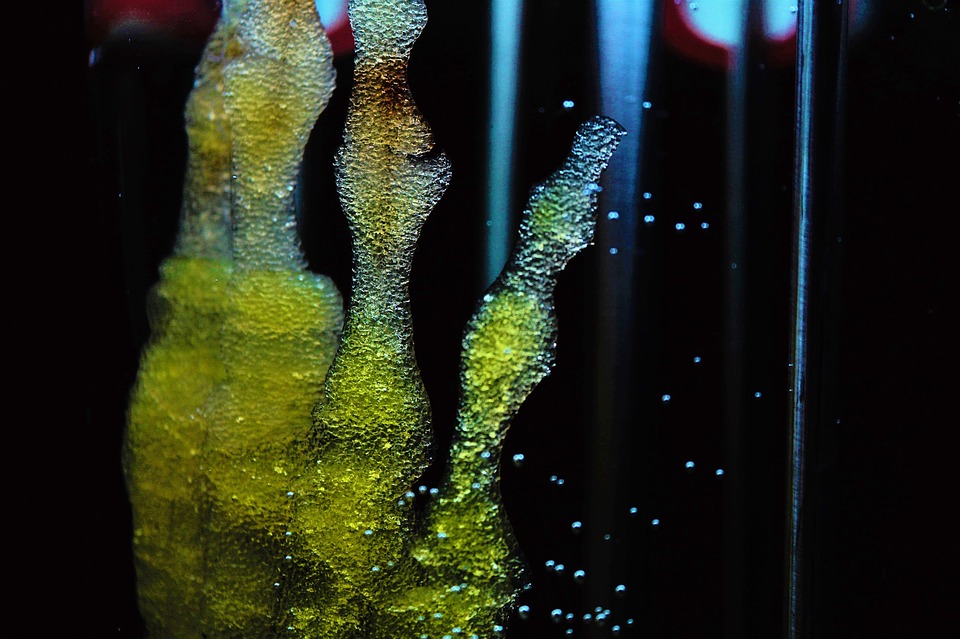 Stem Cells Research Paper: Advantages and Disadvantages of Stem-Cell Therapy