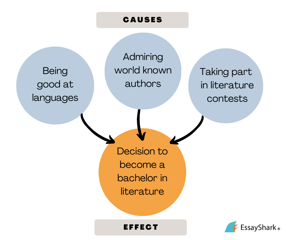 decision to enter a bachelor program in literature